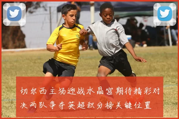 切尔西主场迎战水晶宫期待精彩对决两队争夺英超积分榜关键位置